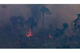 ブラジルの森林火災で試合が中断！「火が見える」衝撃映像がこれ 画像