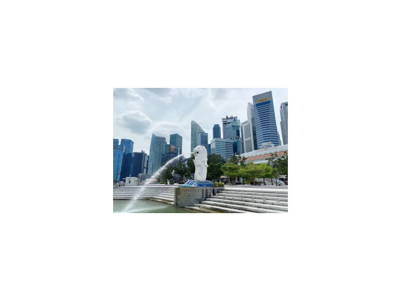 新興企業に勢いがあるシンガポール（共同）