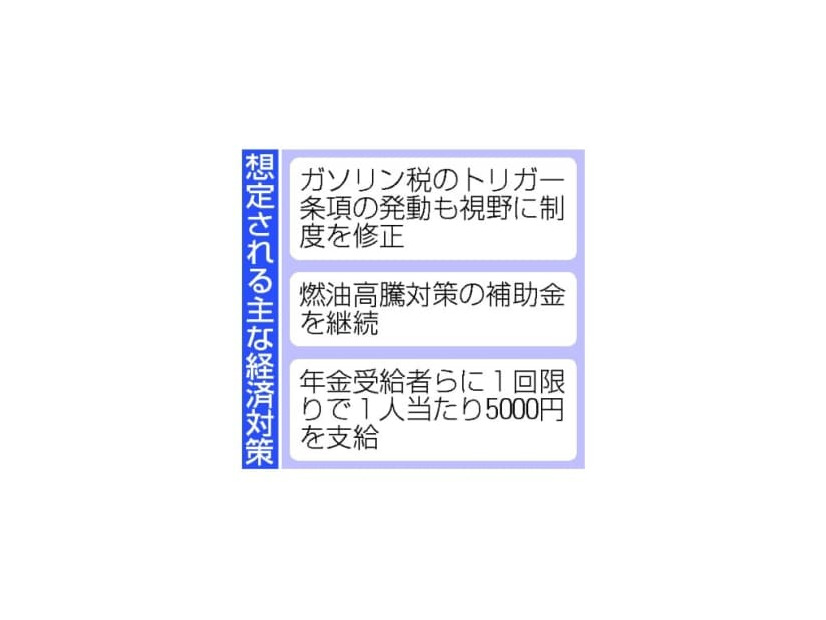 想定される主な経済対策