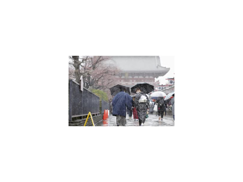 みぞれが降る東京・浅草の仲見世通りを歩く人たち。左は咲き始めた桜＝22日午後0時47分