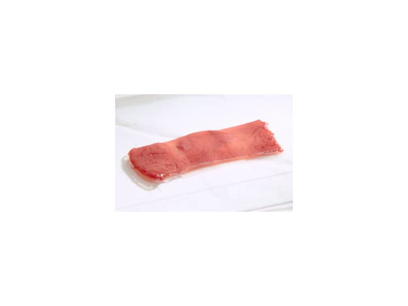 日清食品ホールディングスと東京大学の研究グループが共同で作成した「食べられる培養肉」（同社提供）