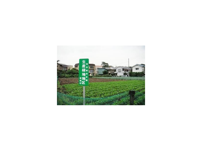 東京都板橋区の「生産緑地」（国交省提供）