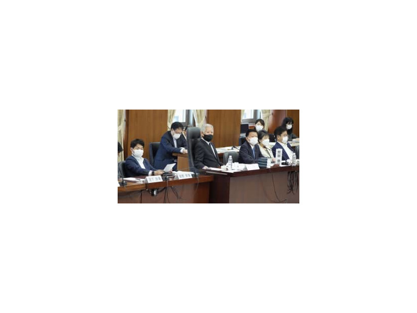 衆院憲法審査会で発言する自民党の新藤義孝氏（前列右から3人目）。左端は立憲民主党の奥野総一郎氏＝26日午前、国会
