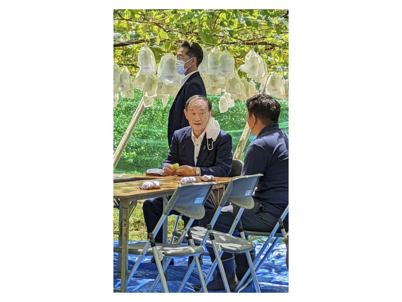 ブドウ農家を視察し、意見交換する自民党の菅前首相＝18日午後、山梨県山梨市