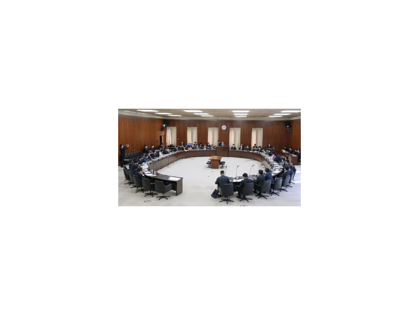 国会で開かれた参院憲法審査会＝9日午後