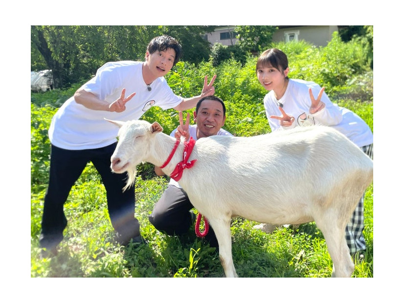 田中圭、ヤギのポポ、大悟、与田祐希（C）テレビ東京