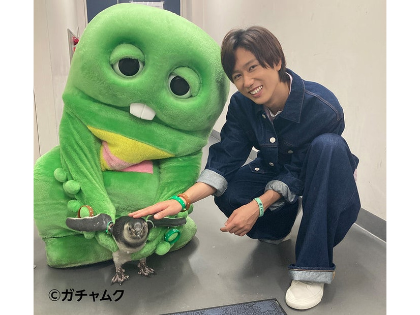 ガチャピン、阿部亮平（C）フジテレビ