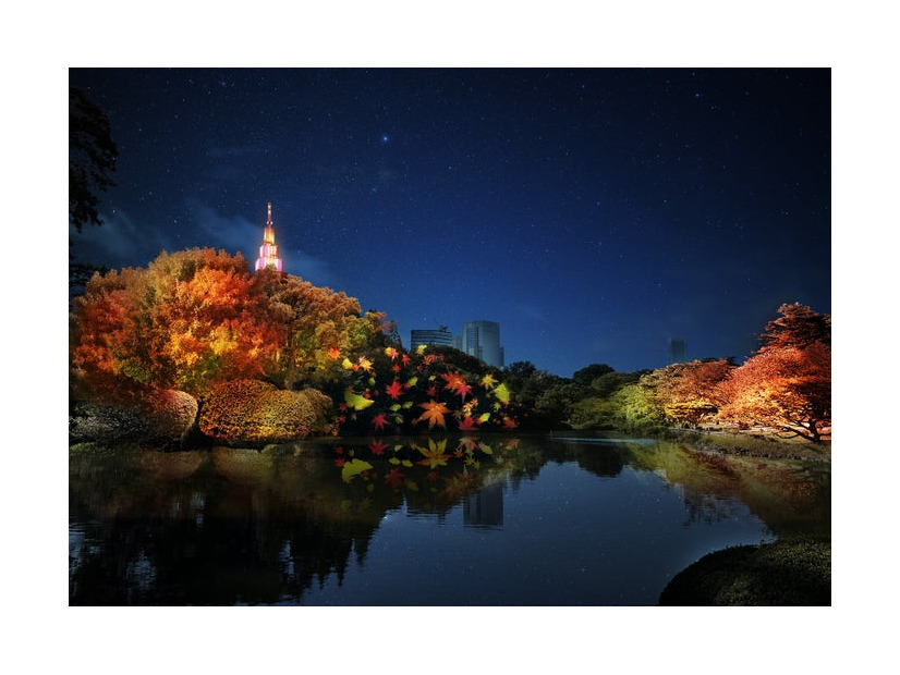 中の池：紅葉プロジェクションマッピング 「秋色の光」／画像提供：ネイキッド