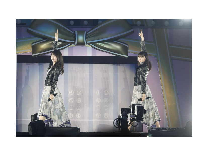 乃木坂46「13th YEAR BIRTHDAY LIVE」撮影：鈴木健太（KENTA Inc.）