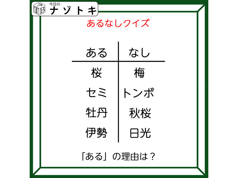 あるなしクイズです！「桜にあって梅にない！」答えは美味しいアレ！【難易度LV２.・甘口】