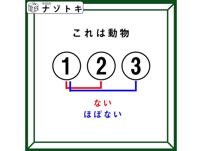 クイズです！「これは動物！何でしょう？」ない、ほぼない！どういうこと？【難易度LV４.・辛口】