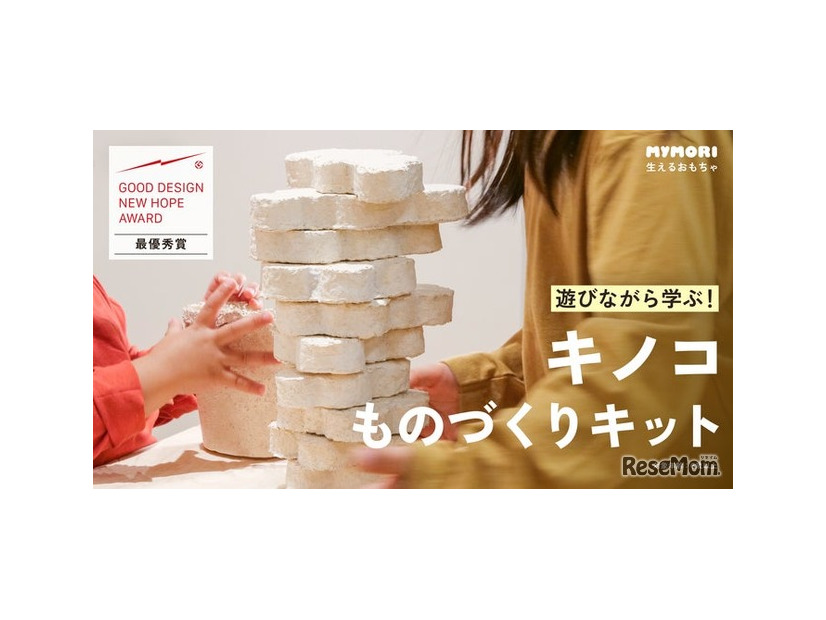 【自由研究】キノコの菌糸体を育て、ブロック作り「生えるおもちゃ」ってなに？