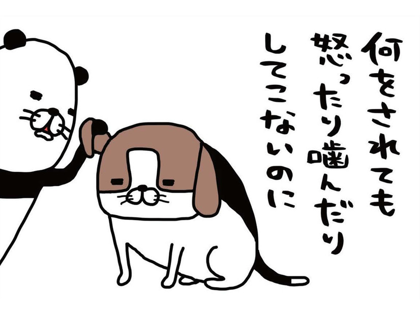 普段はおっとり愛犬・梅吉。唯一「野生の本性」をむき出しにするのは…【パンダと犬 ＃２】