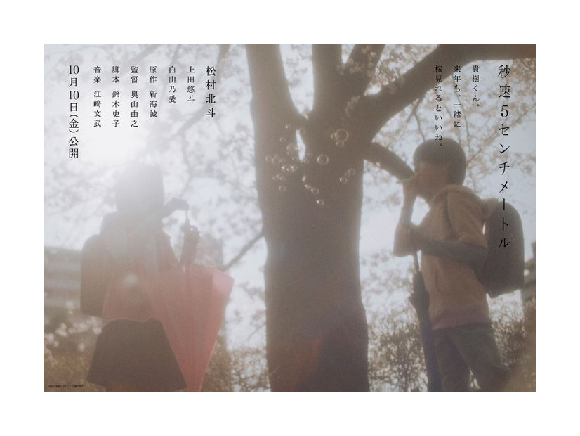 「秒速5センチメートル」ティザービジュアル第2弾A（C）2025「秒速5センチメートル」製作委員会