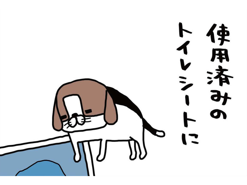 おもちゃで遊んだり、ほとんどしない愛犬。なのに、なぜトイレシートに反応?!【パンダと犬 ＃３】