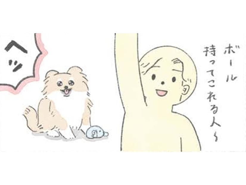「～する人」という言葉に弱い愛犬むっく…このワードで躾に従う？【うちのむっくはいつも楽しそう #３ 】