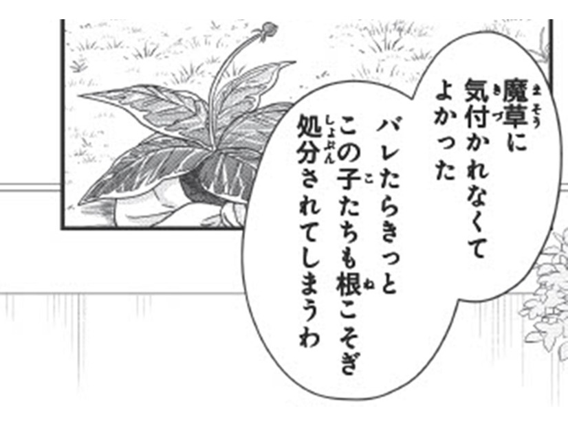 「気付かれなくてよかった」魔法を使える能力を隠していた理由【双子王子の継母になりまして #４】