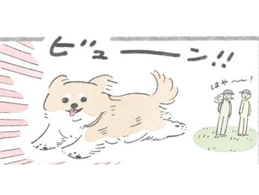 ドッグラン大好きむっく…他の犬にあいさつを…その後に待つことは?!【うちのむっくはいつも楽しそう #４】