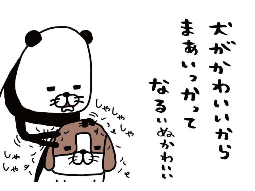 「夢や希望」なくしたのは、いつだっけ？  そんな思いも帳消しにしてくれる存在【パンダと犬 ＃８】