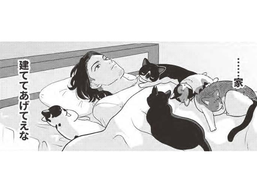 猫が遊べる「家」建てたい…飼い主を放っておかない猫ライフ？【借金1000万作曲家の人生を変えてくれた猫の話 #10】