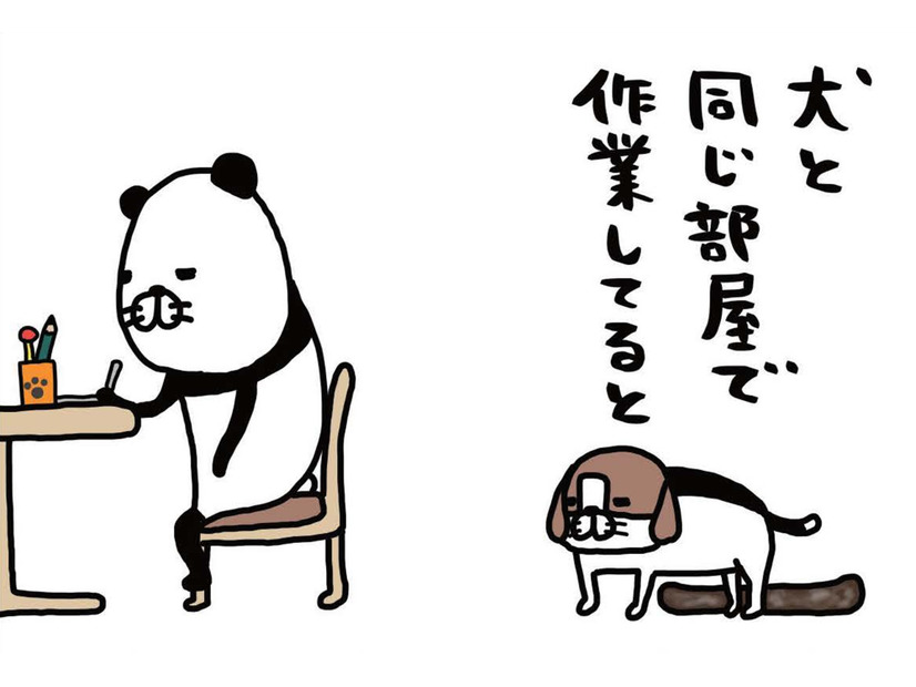 犬と同じ部屋で「作業あるある」。自分のベッドで寝ないで…わざわざ愛犬が向かう場所は？【パンダと犬 ＃９】