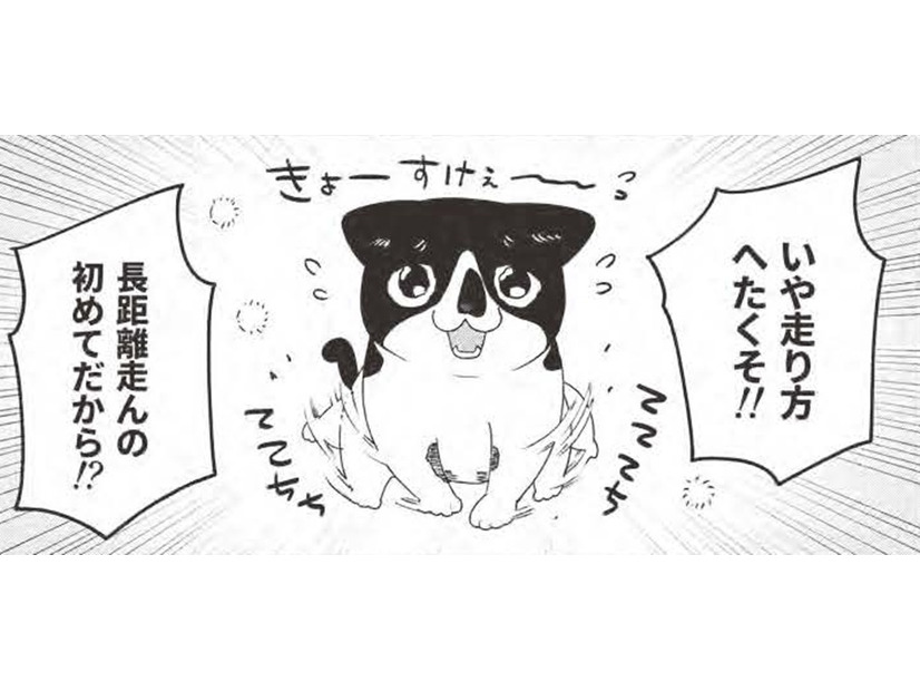 「マンション買ってよかった〜」駆け寄る猫の姿に幸せMAX。走り方がヘタなのには理由が…【借金1000万作曲家の人生を変えてくれた猫の話 #12】