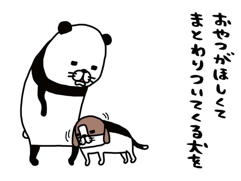 愛犬の顔をよくよく観察。なにやら「わさわさ」している存在が…【パンダと犬 ＃14】