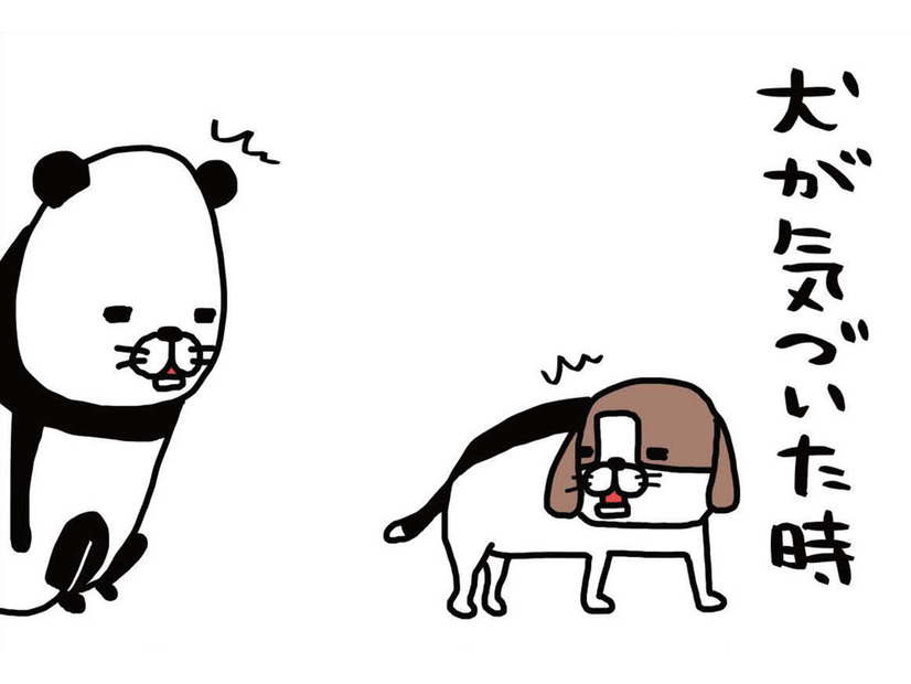 犬と洋服の間に素足を潜りこませた時の感覚 知ってる人、いる？【パンダと犬 ＃16】