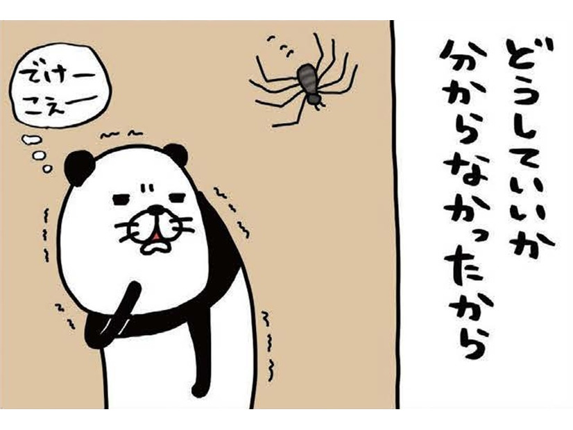 家に巨大なクモが出現!! 心を落ち着かせるため、震える手で愛犬・梅吉を…【パンダと犬 ＃19】