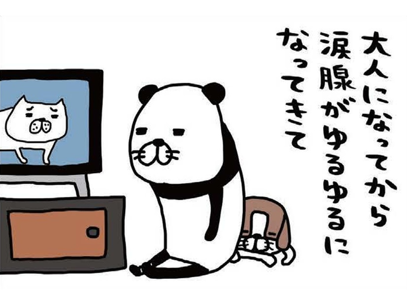 テレビの感動物語で涙腺崩壊！まさにその時、愛犬にとってしまう行動とは？【パンダと犬 ＃20】