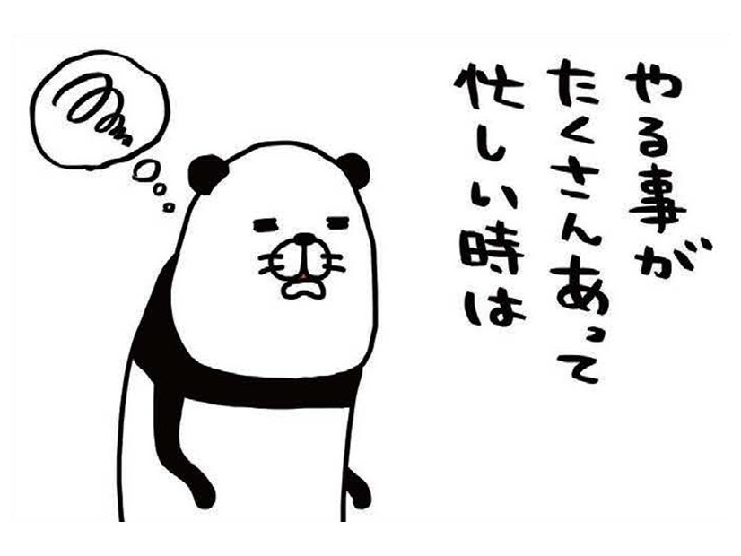 忙しい時こそ愛犬を捕まえて「やりたくなる意外な行動」とは？【パンダと犬 ＃21】