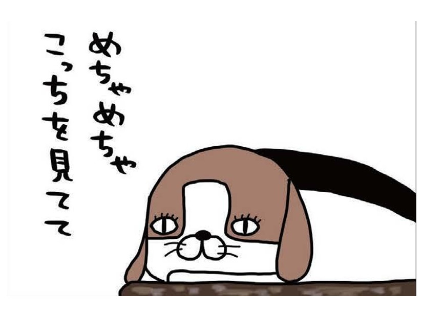 大仕事がひと段落！愛犬に見せたくてたまらない景色とは？【パンダと犬 ＃22】