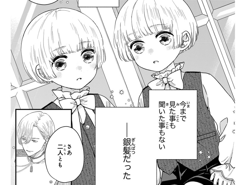 「今まで見たことも聞いたこともない 」双子王子たちの珍しい銀髪に驚きを隠せない【双子王子の継母になりまして #14】
