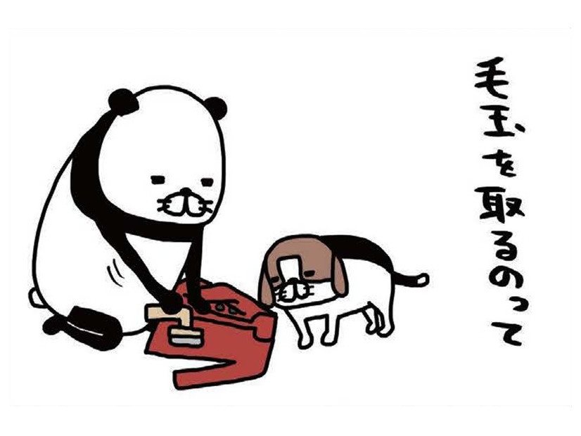毛取り機でジョリリ～と毛玉除去♪ 愛犬も見守って楽しそう⁉【パンダと犬 ＃25】