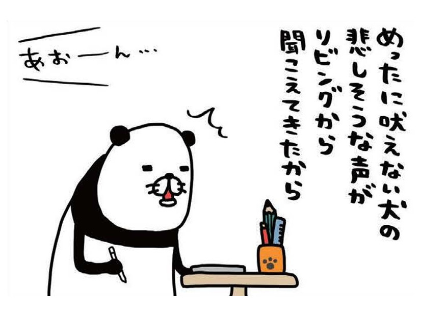 悲しそうな声で吠える愛犬。急いでかけつけたら、とんでもないことに！【パンダと犬 ＃29】
