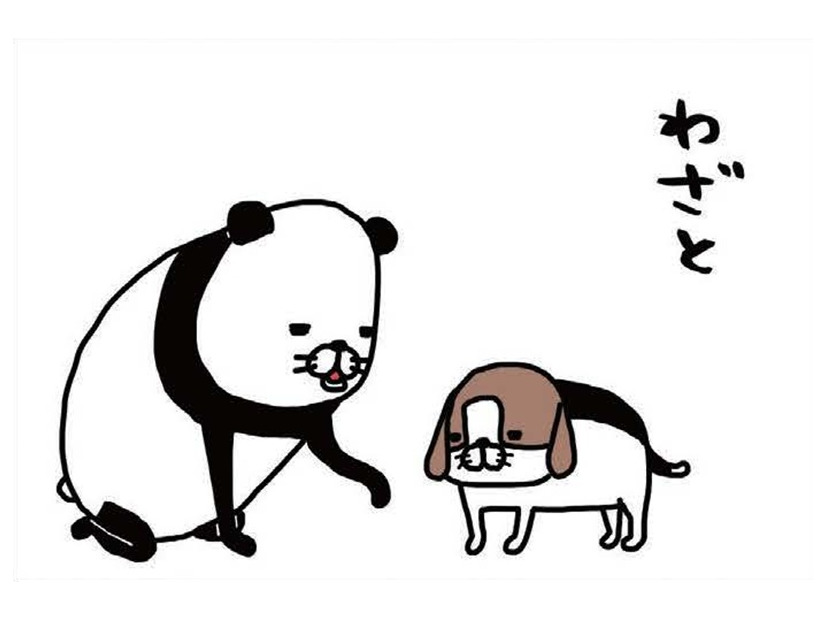 犬にわざと手をふんでもらう理由は？愛犬の肉球、何を感じる？【パンダと犬 ＃30】