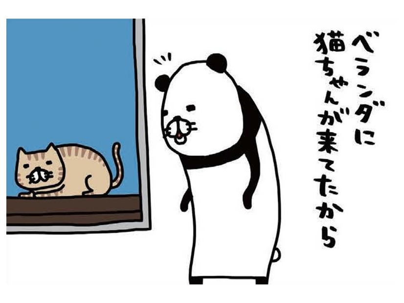 ベランダに猫ちゃん発見。愛犬・梅吉に見せてあげると、お互い同じ反応…【パンダと犬 ＃34】