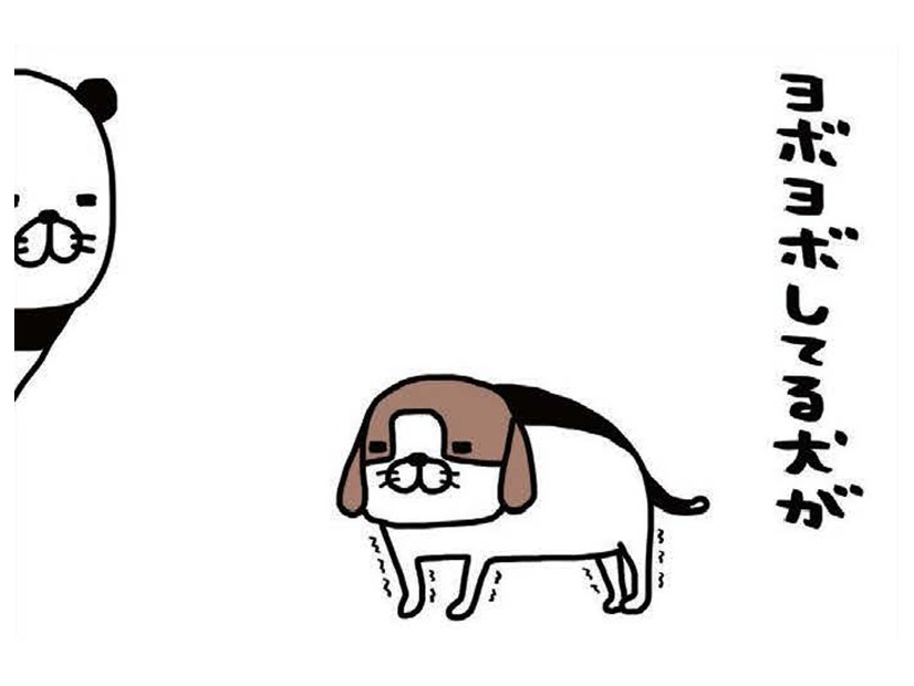 ヨボヨボ愛犬、一人でできないことが増えるばかり。それでも愛おしすぎるのはナゼ？【パンダと犬 ＃35】