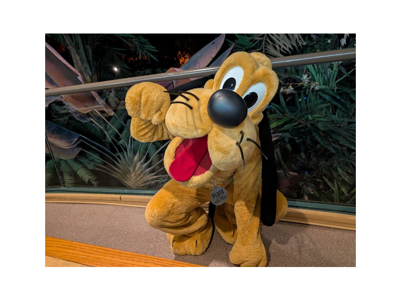 【海外ディズニー】農夫スタイルのミッキーがごあいさつ！エプコットの人気レストランを体験　フロリダ WDW