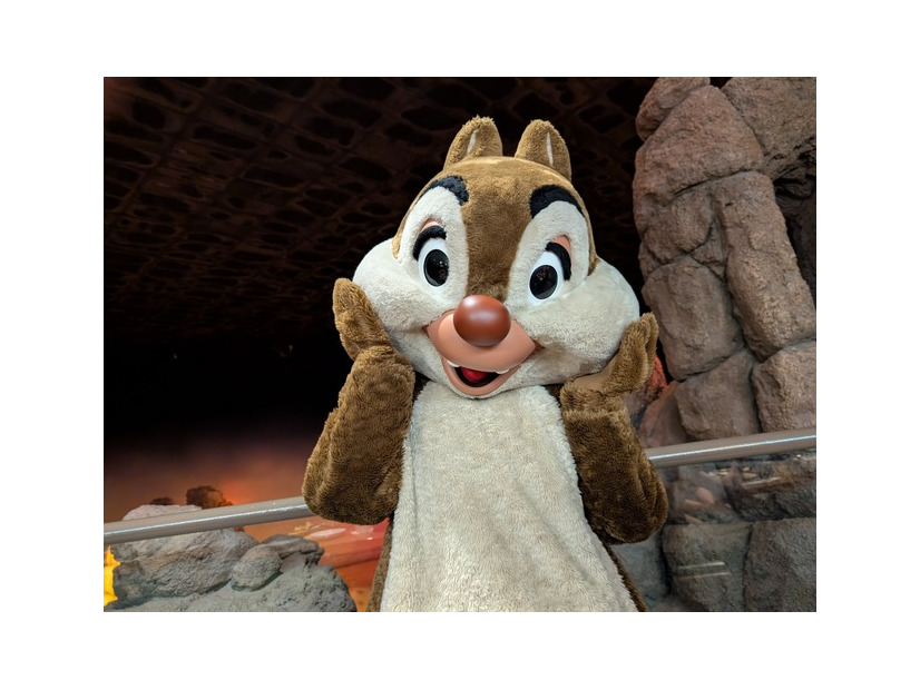【海外ディズニー】農夫スタイルのミッキーがごあいさつ！エプコットの人気レストランを体験　フロリダ WDW