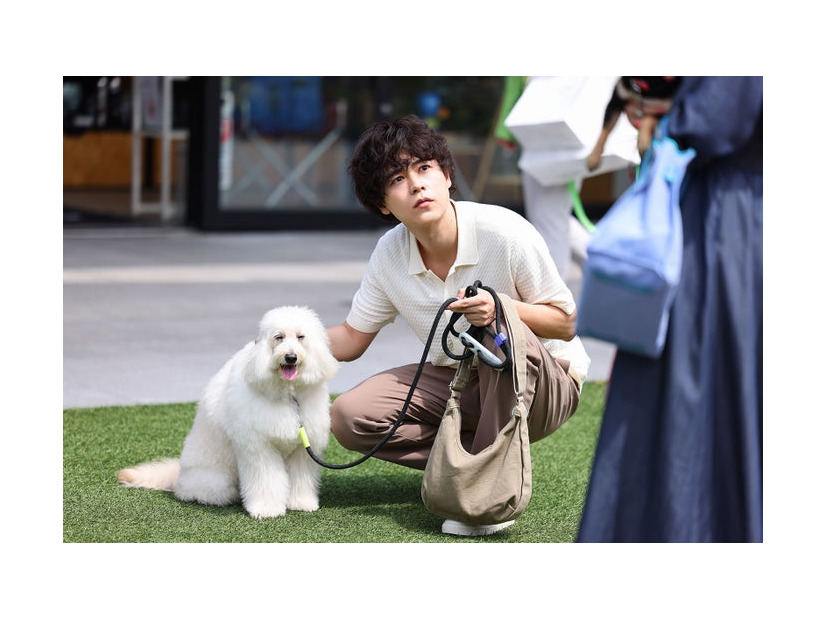 成田凌「初恋DOGs」（C）TBS