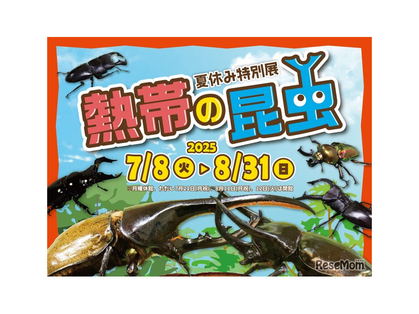 夏休み特別展「熱帯の昆虫2025」