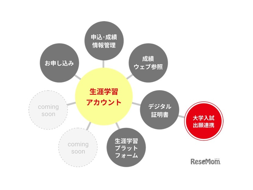 今後の展望