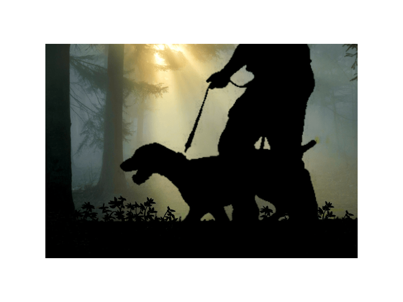 愛犬と夜道を散歩中、建物裏に人影が！？恐る恐る近づくと…→愛犬の思わぬ反応に「笑った」