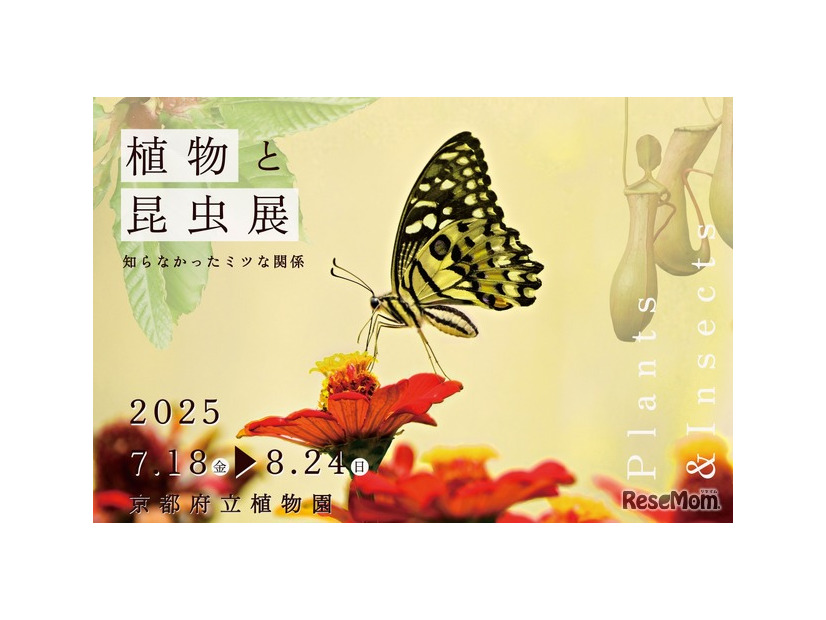 企画展「植物と昆虫展」
