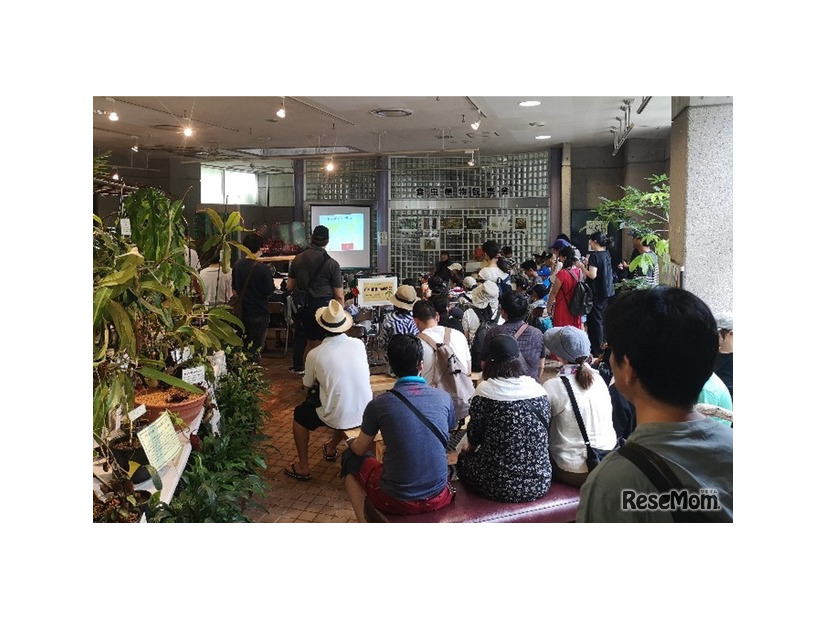 観察会