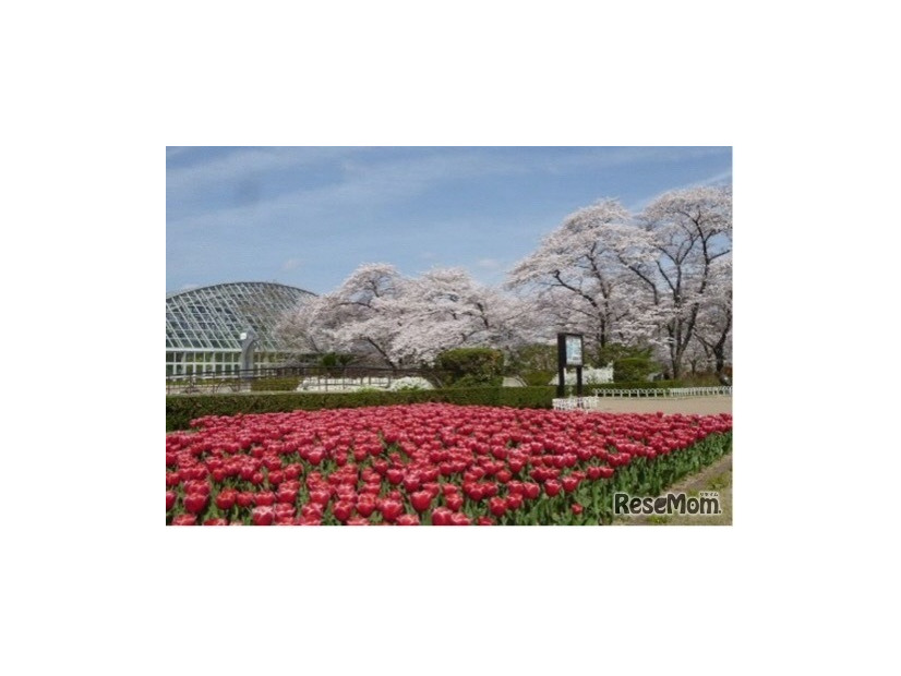 京都府立植物園