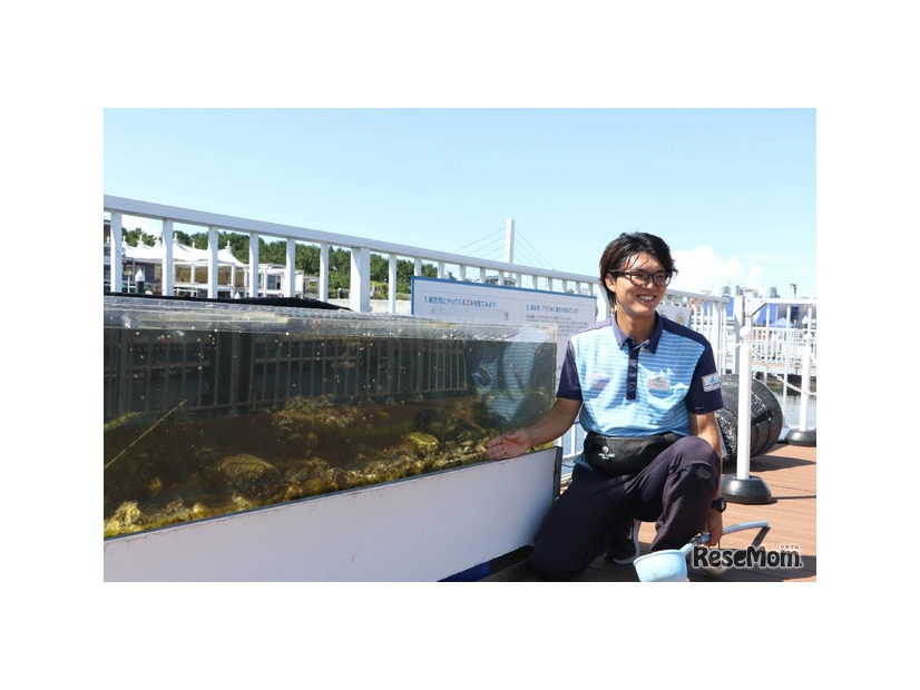 ガイドツアー「東京湾ワンダーウォッチャーズ」