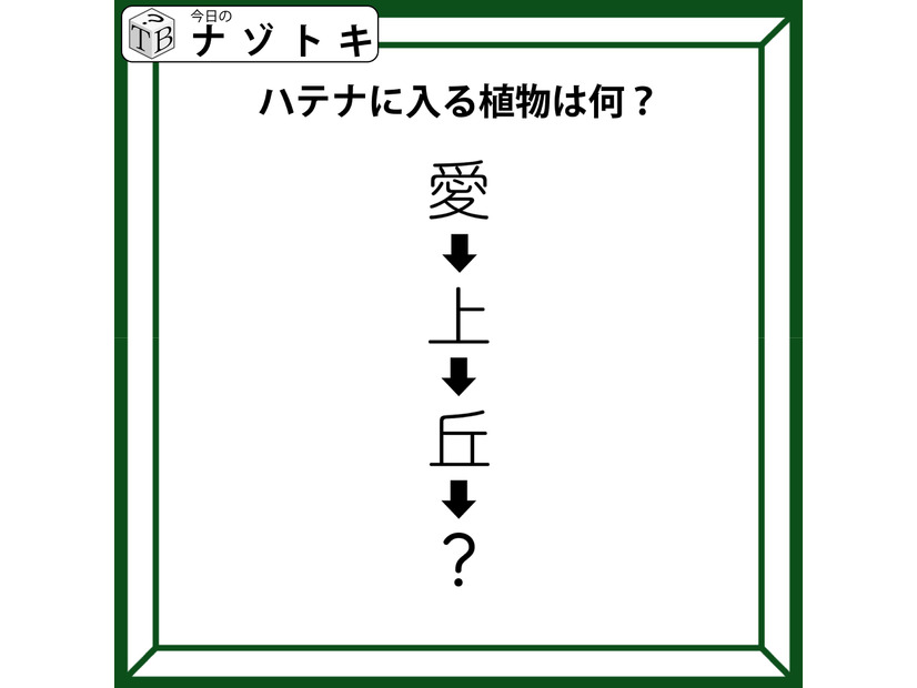クイズです！「愛→上→丘→〇」〇に入る植物、なーんだ？順番に読んでみましょう【難易度LV2.・甘口】