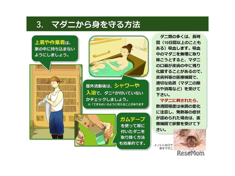マダニから身を守る方法